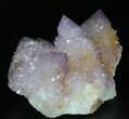 Cactus Quartz (Amethyst) Cluster - South Africa #33622-3